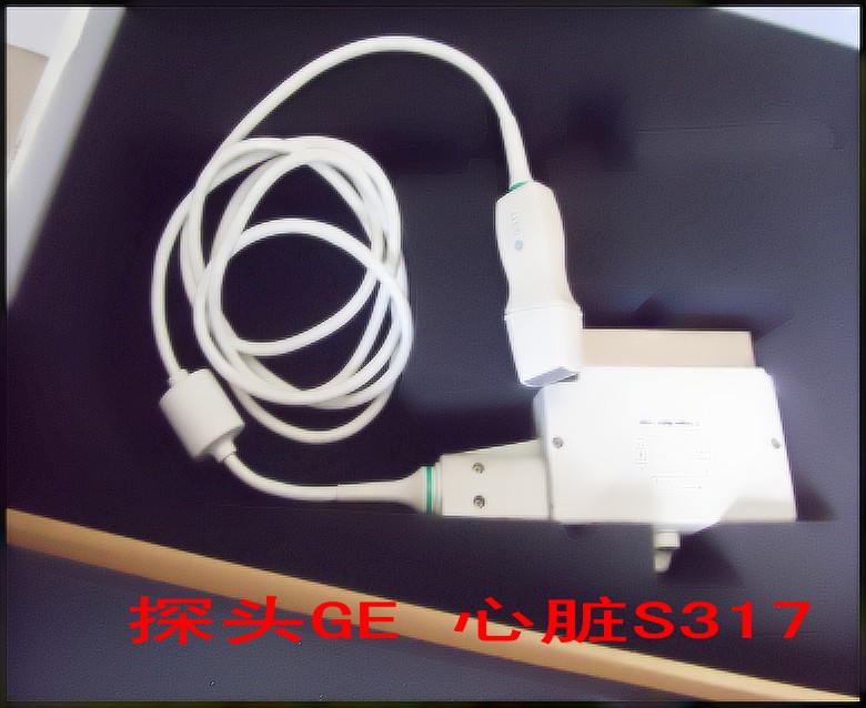 探头GE 心脏S317.jpg